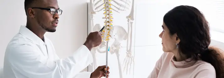 Chiropractic Richardson TX Spine Model Doctor